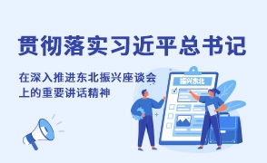 貫徹落實習近平總書記在深入推進東北振興座談會上的重要講話精神